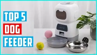 ✅Best dog feeder 2023 | Top 5 Automatic Pet Feeders of 2023