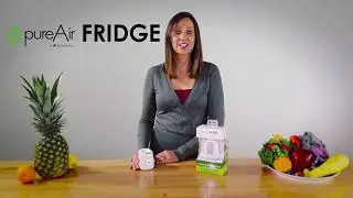 GreenTech Environmental pureAir FRIDGE