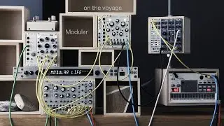 Modular on the voyage / Eurorack Ambient/ 110VCO/VCF/VCA/ Marbles 2hp Arp Ensemble Oscillator Steppy