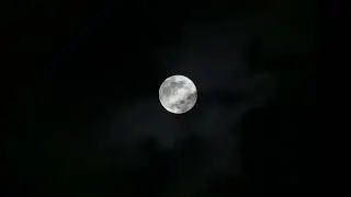 11 Hours 11 Minutes Deep Sleep Music for Insomnia | Calm Mind, Uninterrupted Rest
