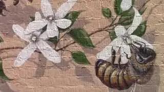Artist hopes to bring attention to struggle of bee colonies
