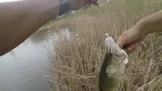 Post Storm Bass Fishing