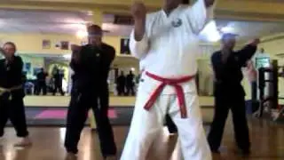Do Ho Katsu Ryu kata demonstration 1/22/2012