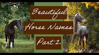 Part 2 K Through T Female Horse Names