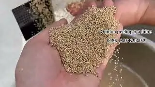 Quinoa peeling machine Quinoa skin removing machine
