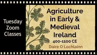 Agriculture in Early Ireland - Daire O Lachlainn