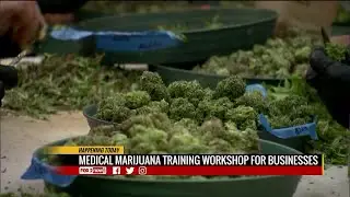 Missouri medical cannabis workshop