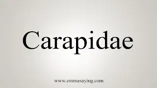 How To Say Carapidae