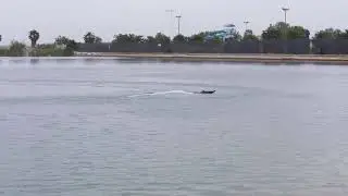SteveO Radtek 29 laps