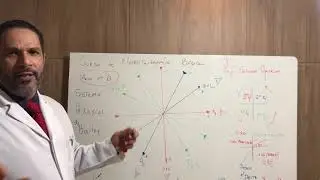 Aula 6: Sistema Hexaxial de Bailey