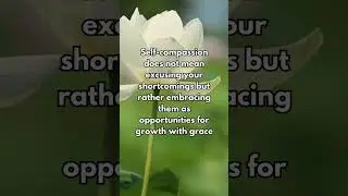 Compassion for Self | Be Kind to Your Mind