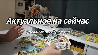 ✨ Что сейчас актуально? Послание пространства 