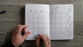 Plan with me June 2025 in my everyday bullet journal