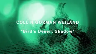 Collin Gorman Weiland - 