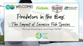 Predators in the Bay: The Impact of Invasive Fish Species Learning Lab