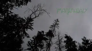 After the rain. 5 Minute Nature Meditation: Imaginatory