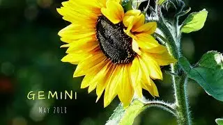 The old way is gone, GEMINI. May 2018
