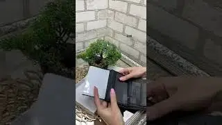 Мужское портмоне из натуральной кожи на кнопке, в коробке Great Bag