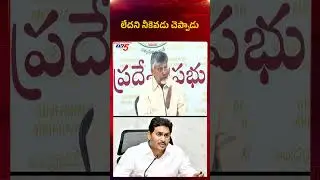 CM Chandrababu Strong Counter to YS Jagan | AP Political News | YSRCP | TV5 News