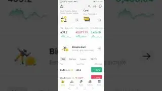Binance leveredge Trading, BNBdown?