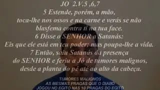 V&iacute;deo parte 44