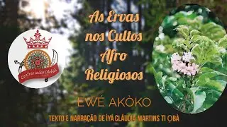 Ewé Akòko (erva Acocô) - Ervas no Culto Afro Religioso - Confraria Olobàs