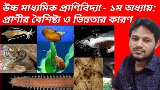 Animal introduction and Diversity - Animals Classification
