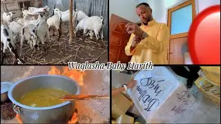 Waqlasha🐐Baby Harith🩵