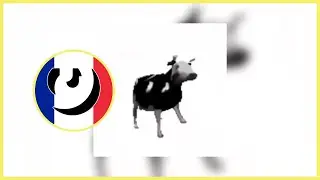 Cypis - Gdzie jest biały węgorz? (Polish Cow) | Traduction fran&ccedil;aise