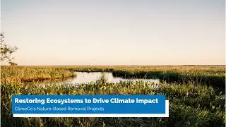Restoring Ecosystems to Drive Climate Impact