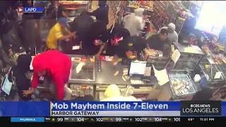 Mob loots Harbor-Gateway 7-Eleven