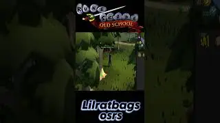 dmm Armageddon money maker - Planks OSRS DMM 2024 #oldschoolrunescape #moneymaking #shorts