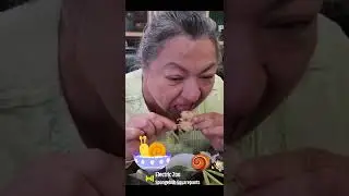 ESCARGOT - SNAIL COOKING DISH