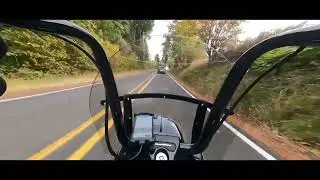 Oregon October Color Changing Leaf Ride