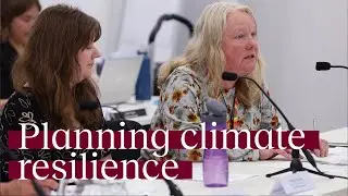 Call to 'build back better'