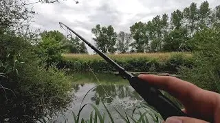 Pêche du carnassier au leurre du bord - Perches, brochets et crapet de roche  au petit canal