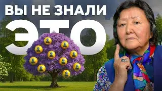 Какие две системы организма самые важные осенью