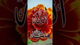 Allah #trending #love #viralvideo #islam #islamicvideo #namaz #bayan#trustonallah#family #blog#reels