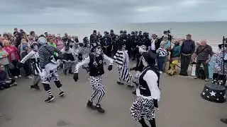 Pig Dyke Molly, Sidmouth Folk Festival 2025.  Thursday