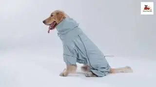 Woofo Full Coverage Dog Raincoat Review