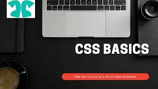 NEW COURSE, Basics of CSS