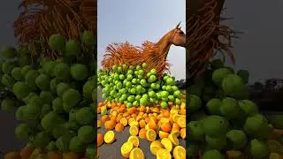 Horse loaded fruits special effects c4d works #shortsfeed #shortsyoutube