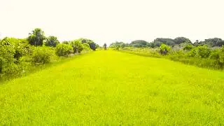 15372 NW 314TH ST, OKEECHOBEE, FL 34972