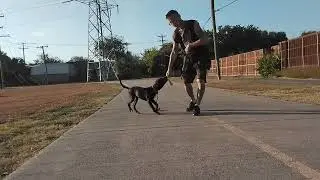 Tank heel drills, be sure & give play (for engagement) between 