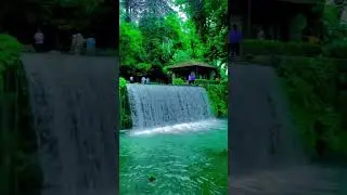 Beauty Of Kashmir 🥰🤩 #kashmir #travel #scenickashmir #beautifulmusic #mountains