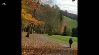 Yine aylardan Kasım (COVERAI)