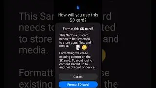 Memory Card Format Problem 😐