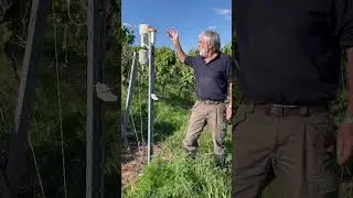 Wetterstationen im Weinberg #weingutfuchs #weinberge #pflanzenschutz #wetterstation