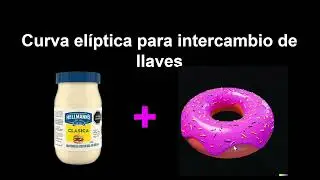 8. Intercambio de llaves Diffie-Hellman-Merkle usando Curva El&iacute;ptica