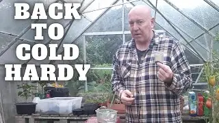 Back To Cold Hardy Plants [Gardening Allotment UK] [Grow Vegetables At Home ]